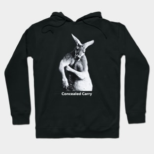 Concealed Carry Hoodie